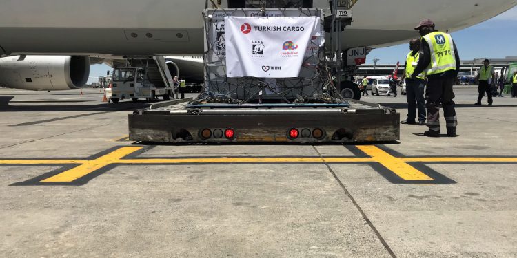 THY Kargo sirk aslanlarını doğaya taşıdı