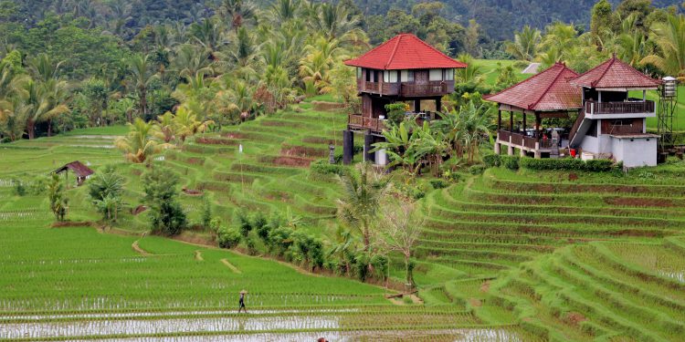 Bali’de yapılması gereken 9 etkinlik