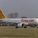Pegasus 5 yılda 70 yeni uçağı filosuna katacak