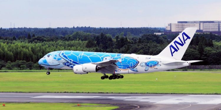 A380 ile 90 dakikalık özel sefere 334 yolcu katıldı