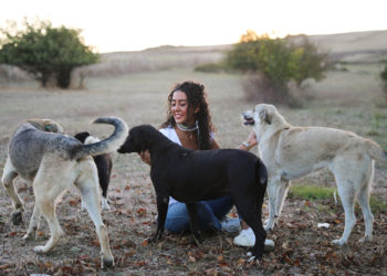 THY kabin memurundan sokak hayvanlarına destek