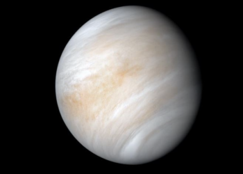 Venüs’te yaşam olabileceği iddia ediliyor