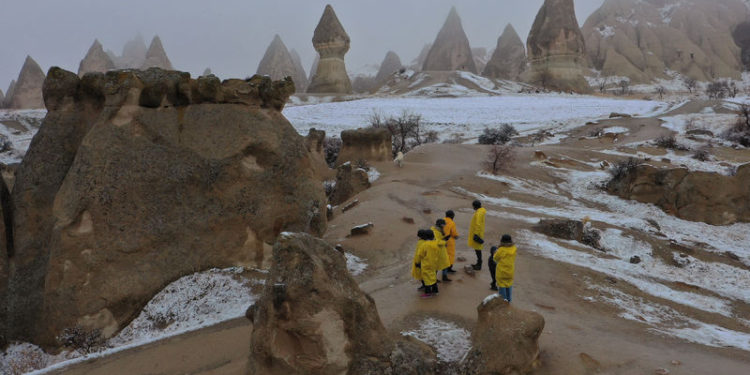 Tur Operatörleri Platformu