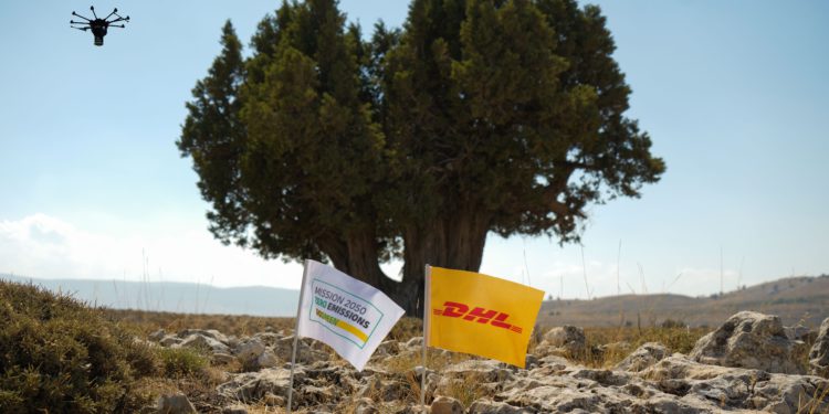 DHL ormanında 50 bin tohum ağaç olacak
