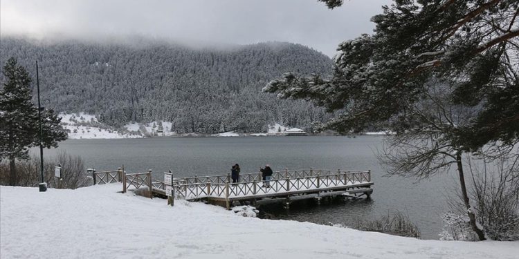 Acente bizi kazıklıyor..!