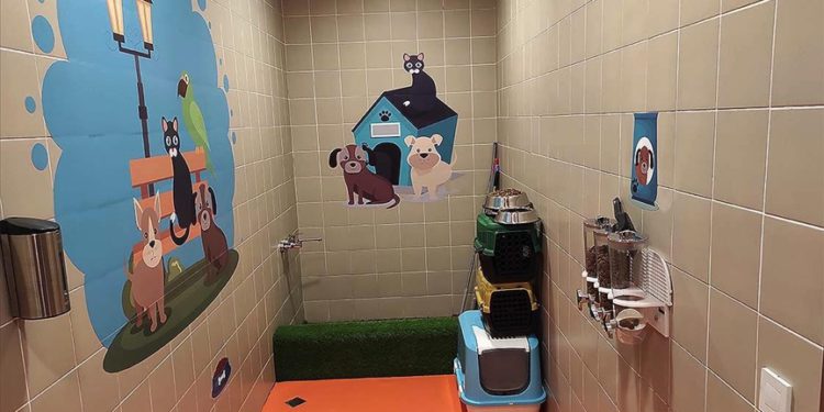 İstanbul Havalimanı’nda ‘Evcil Hayvan Odası’ oluşturuldu