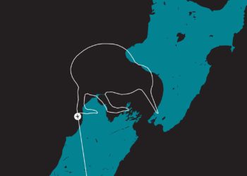 Air New Zealand gökyüzüne “Kivi Kuşu” çizdi