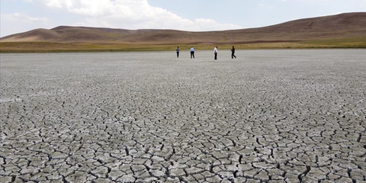 Ekoloji, çevre, küresel ısınma ve Türkiye