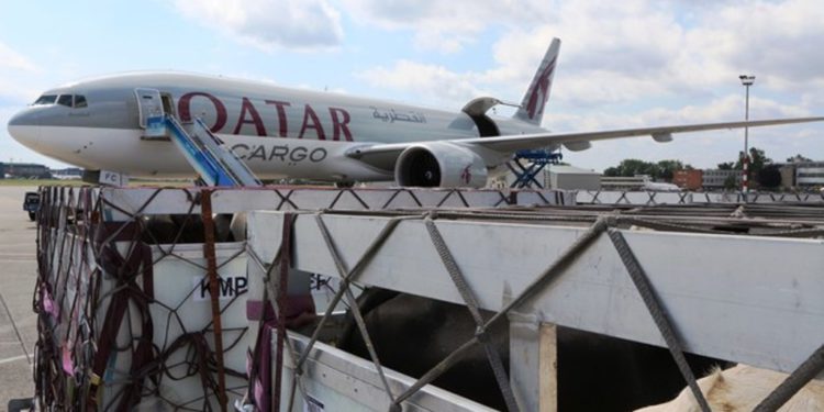 Qatar Airways’ten hayvan kaçakçılığına karşı imza