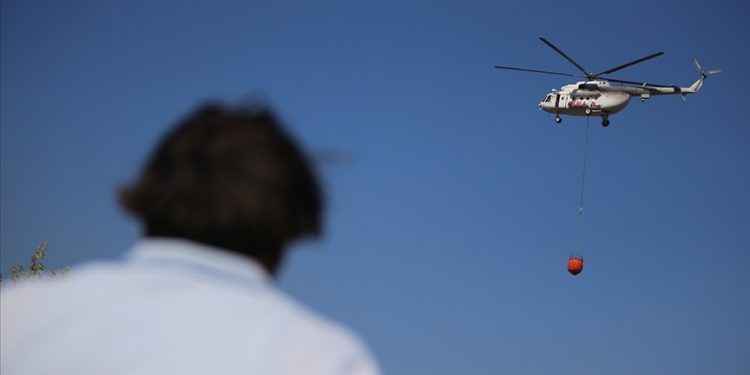 Orman yangınlarıyla mücadele için ‘havacılık dairesi’ kuruldu