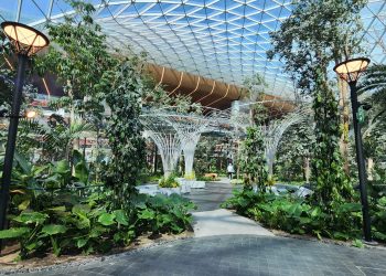 Hamad Havalimanı’nın kapasitesi büyütüldü: ‘Tropikal bahçe’ geldi