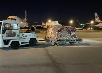 ABD’de ele geçirilen tarihi eserler THY uçağıyla Antalya’ya getirildi