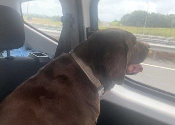 Pati’nin günlüğünden bir İstanbul-Kıbrıs yolculuğu