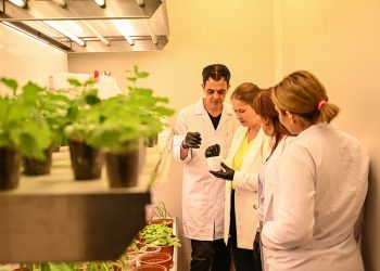 Türk bilim insanları uzayda bitki yetiştirecek