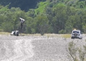 Avustralya’da uçak düştü: 1’i çocuk 2 kişi öldü