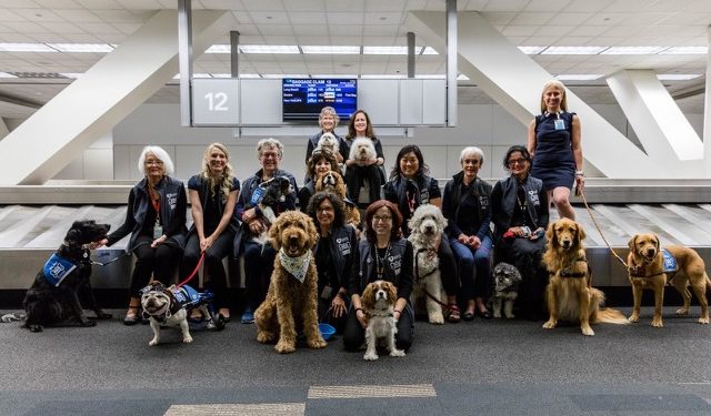 Uçmadan önce hayvan sevmeye ne dersiniz?
