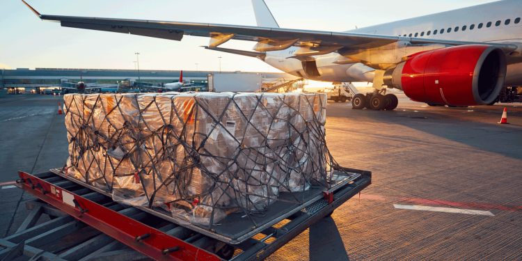 Ocak ayında yolcu talebi yüzde 16,6 arttı