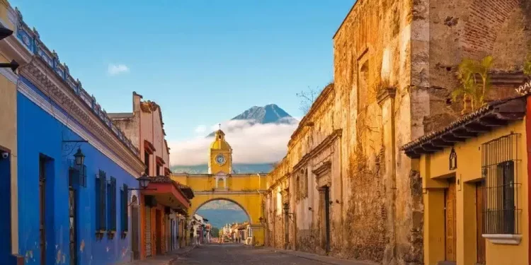 Ağaçların çok olduğu ülke