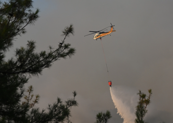 Orman yangınlar için “Orman Benim” kampanyası düzenlenecek