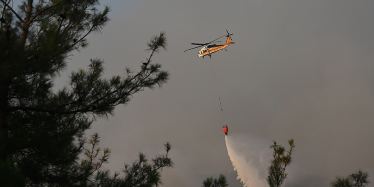 Orman yangınlar için “Orman Benim” kampanyası düzenlenecek