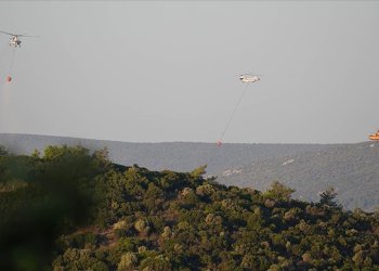 İzmir’in Urla ilçesinde çıkan orman yangınına müdahale sürüyor