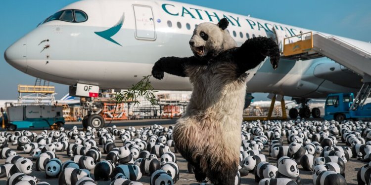 Havalimanı Panda heykelleriyle doldu taştı