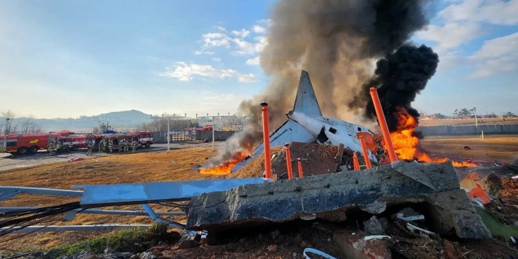 Güney Kore’deki kazada kule kuş sürüsü uyarısı yapmış