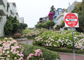 ABD’nin turizm geliri 12,5 milyar dolar azalacak!