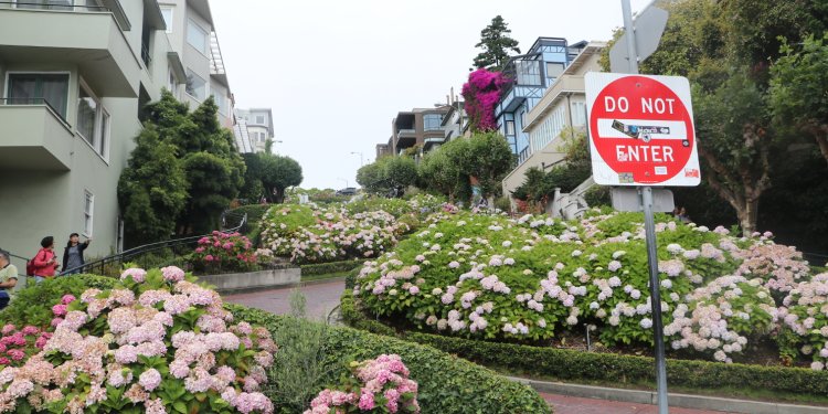 ABD’nin turizm geliri 12,5 milyar dolar azalacak!