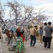 Türkiye’ye gelen Çinli turist sayısı yüzde 65,1 arttı