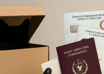 Schrödinger’in kedisi ve Nazife Hanım’ın kızları