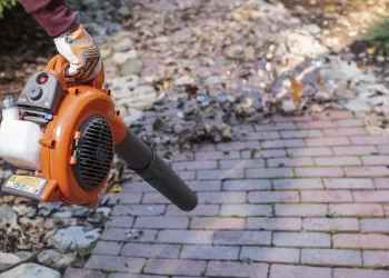 Sizin de yaprak üfleyiciniz var mı?