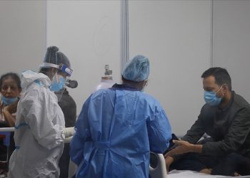 DSÖ, Nipah virüsünü yakından izliyor