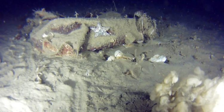 THY’nin düşen kayıp uçağının enkazından yeni parçalar bulundu